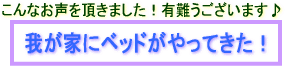 �E�b�h�X�v�����O�x�b�h�̂����z�B