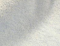 �p�C���n